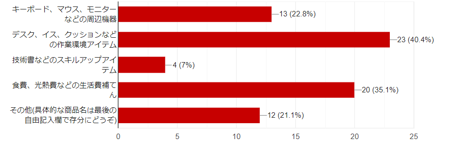 周辺機器13 作業環境23 スキルアップ4 生活費20 その他12