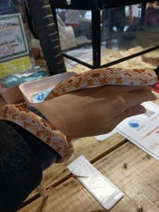 ヒンヤリ触れ合い