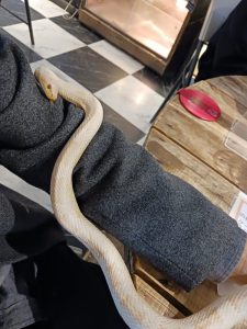 別の子