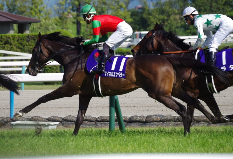 来年の干支にちなんで現代社会で働く馬たちをご紹介【Agent Grow