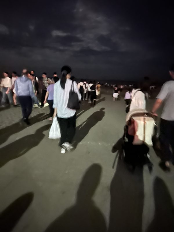 夜光虫